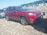 JTMA1RFV9LD****** Salvamento y Destrozados 2020 Toyota RAV4 en Long Island
