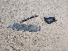 KNAGR4A6XB5****** Wrecked 2011 Kia Optima in Arkansas State