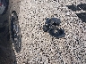 3KPF24AD1KE****** Wrecked 2019 Kia Forte in Ohio State