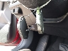 3KPFT4DE3SE****** Salvage 2025 Kia K4 in Texas State