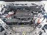 ZASPAKBN0M7****** Repairable 2021 Alfa Romeo Stelvio in Sayreville