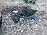 KNAG34J73T5****** Destrozados 2026 Kia K5 en Estado de Florida