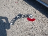 1C4RJFCG6JC****** Destrozados 2018 Jeep Grand Cherokee en Estado de Iowa