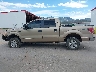 1FTFW1EF6DK****** Salvage 2013 Ford F-150
