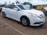 5NPEB4AC4EH****** Salvage and Wrecked 2014 Hyundai Sonata in Honolulu