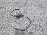 1C4RJEAG6LC****** Wrecked 2020 Jeep Grand Cherokee in Arkansas State