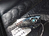 5YM13ET05R9****** Salvage 2024 BMW X5 in Florida State
