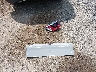 3C4NJDCN5PT****** Wrecked 2023 Jeep Compass in Ohio State