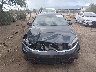 3KPF54AD3PE****** Salvage 2023 Kia Forte in Arizona State