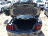1FA6P8CF2L5****** Salvamento y Reparables 2020 Ford Mustang en Louisville North