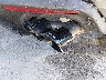 1FA6P8CF2L5****** Salvamento y Destrozados 2020 Ford Mustang en Estado de Kentucky