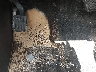 2GKALREK4F6****** Salvamento y Reparables 2015 GMC Terrain en Estado de Texas