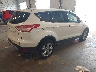 1FMCU9GX3EU****** Salvamento y Destrozados 2014 Ford Escape en Estado de Michigan