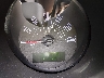 1ZVFT84N955****** Destrozados 2005 Ford Mustang