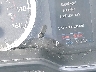 JTDP4RCEXLJ****** Salvage 2020 Toyota Corolla