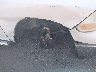 1C6RD6GP2CS****** Salvage and Repairable 2012 RAM 1500 in Maryland State