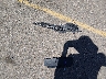 JM1NDAB75N0****** Wrecked 2022 Mazda MX-5 in Colorado State
