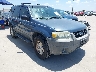 1FMYU02Z15K****** Salvamento y Destrozados 2005 Ford Escape en Austin