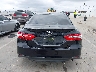 4T1B11HK5KU****** Destrozados 2019 Toyota Camry