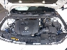 JM1BPBJM1K1****** Reparables 2019 Mazda 3 en Portland