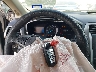 3FA6P0HD6LR****** Salvage 2020 Ford Fusion in Texas State