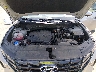 5NMJF3DE7RH****** Repairable 2024 Hyundai Tucson in Grenada