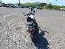 MLHPC5643R5****** Salvage and Repairable 2024 Honda Rebel 500 in Hawaii State