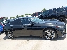 JN1EV7CP1MM****** Repairable 2021 Infiniti Q50 in Texas State