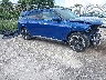 RLLV2CJA3RH****** Salvamento y Destrozados 2024 VinFast VF 9 en Electric Vehicle Auctions