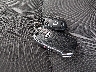 3KPF34AD2ME****** Salvage 2021 Kia Forte in Maine State