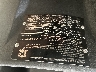 HZ2TBCNF7S1****** Repairable 2025 Zhilong ST in Rec Rides Online Exclusive
