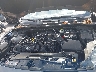 1FMCU9J93MU****** Repairable 2021 Ford Escape in Raleigh