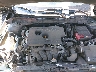 1N4BL4EV5KC****** Repairable 2019 Nissan Altima in Greenville