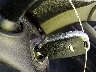 3KPF24AD4ME****** Salvage 2021 Kia Forte in Tennessee State
