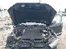 WA1LAAF7XKD****** Repairable 2019 Audi Q7 in Tampa
