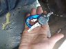 JTEBT17R938****** Salvamento 2003 Toyota 4Runner en Estado de Maryland