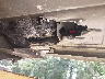 KMHLM4DG5SU****** Salvage and Repairable 2025 Hyundai Elantra in Atlanta North