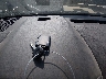 1GNSKBKC8FR****** Salvage 2015 Chevrolet Tahoe in Iowa State