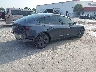 5YJ3E1EA5PF****** Salvage and Wrecked 2023 Tesla Model 3 in Florida State