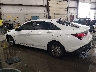 KMHLL4DG2TU****** Salvage 2026 Hyundai Elantra