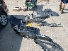 KNADM4A37H6****** Destrozados 2017 Kia Rio en Estado de Massachusetts