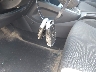 KM8K62AB5NU****** Salvage 2022 Hyundai Kona in Florida State