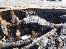 WDBJF65J9YB****** Salvage 2000 Mercedes-Benz E-Class in Lexington