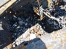 WDBJF65J9YB****** Wrecked 2000 Mercedes-Benz E-Class in Lexington