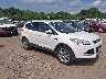 1FMCU0JX0FU****** Salvamento y Destrozados 2015 Ford Escape en South Bend