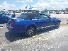 1ZVFT84N955****** Salvamento y Destrozados 2005 Ford Mustang en Estado de Florida