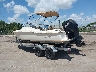 SLPGV94***** Salvamento y Destrozados 2023 Scout 210 Dorado en Estado de Florida