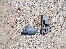 KM8R7DGE8SU****** Wrecked 2025 Hyundai Palisade in Texas State