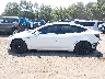 5YJ3E1EA9PF****** Salvamento 2023 Tesla Model 3