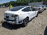 5YJ3E1EA9PF****** Salvamento y Destrozados 2023 Tesla Model 3 en Estado de Massachusetts